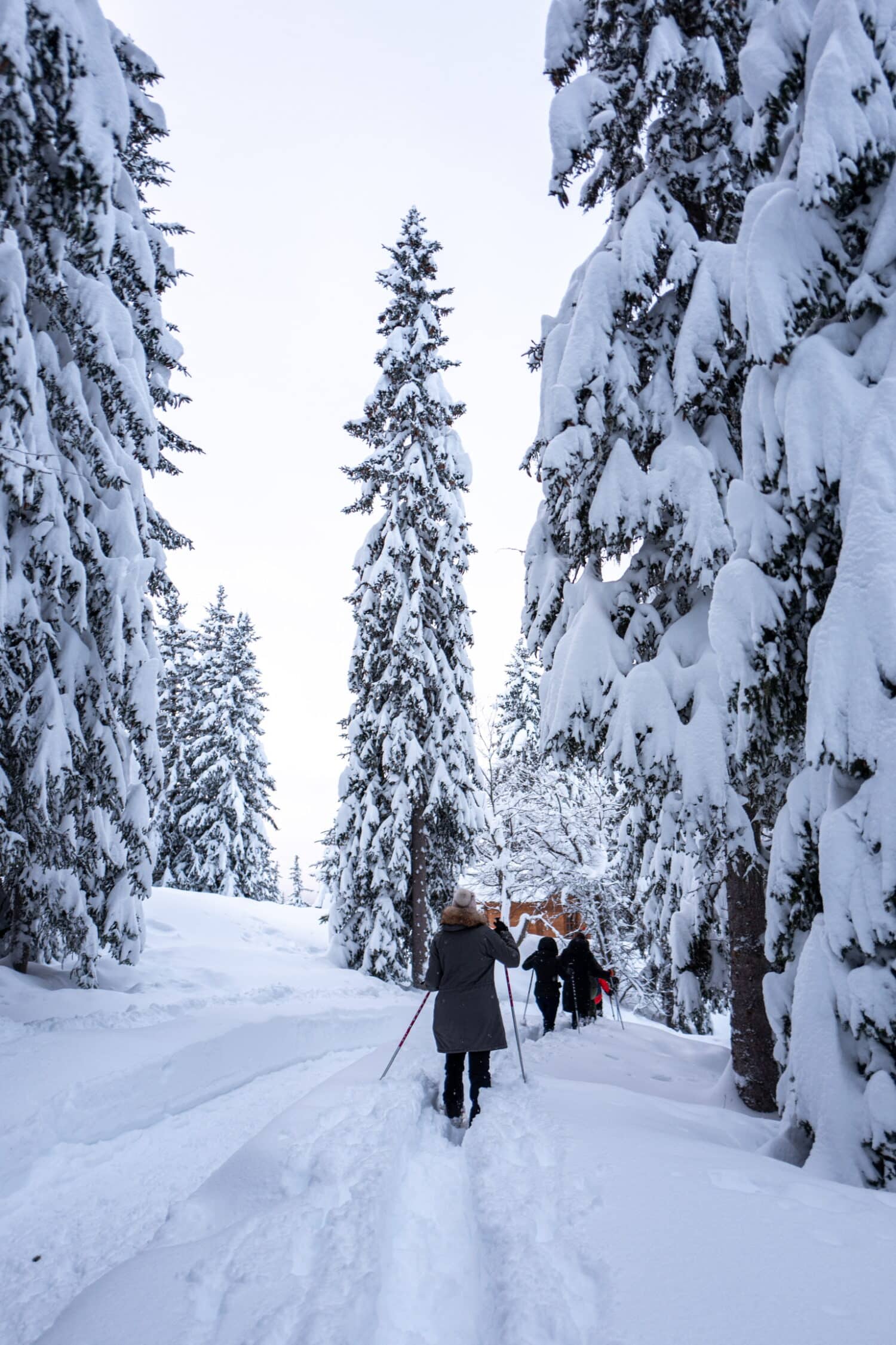 Raquette - Snowshoeing Coucou Meribel Experience
