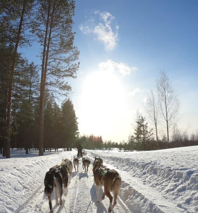 hotel-le-coucou-chalet-pistes-domaine