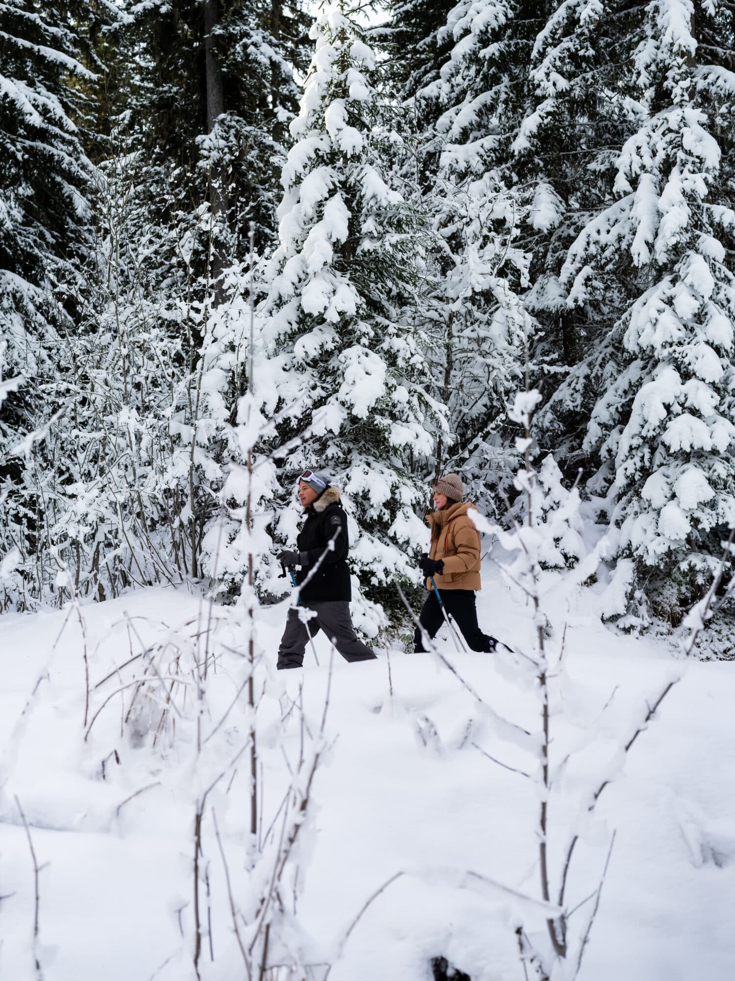 Randonnée Alpes @Via Tolila