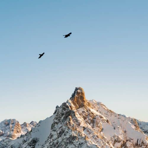 Le Coucou-Montagne Méribel